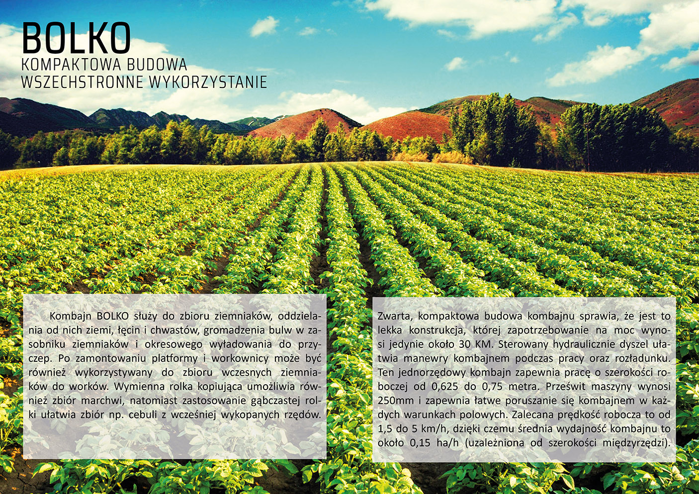 ARTYKUŁ BOLKO2
